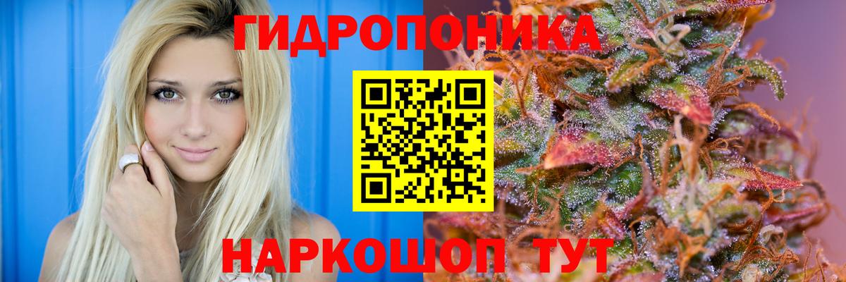 Пенза  Бошки марихуана гибрид  Канабис план  Марихуана VHQ  Вход с VPN 